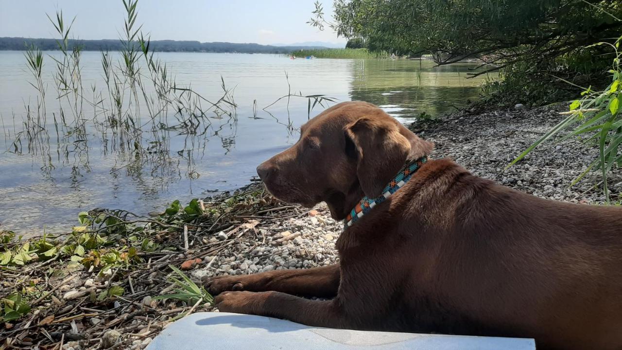 Kultur, Berge, Seen, Moor - Das Lebensglueck Murnau am Staffelsee Eksteriør billede