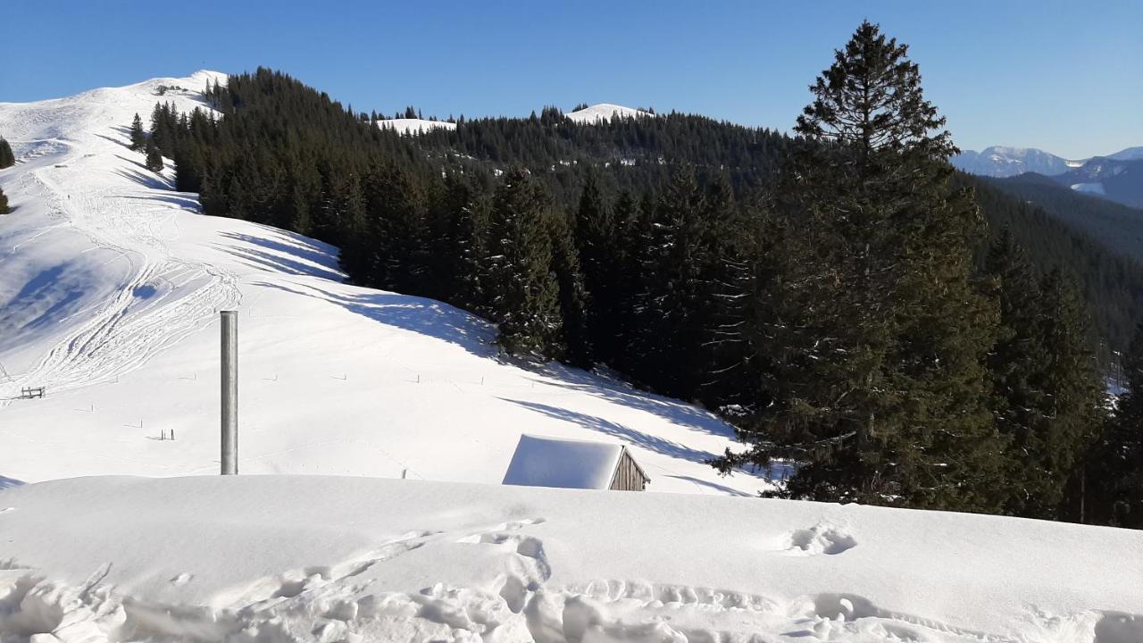 Kultur, Berge, Seen, Moor - Das Lebensglueck Murnau am Staffelsee Eksteriør billede