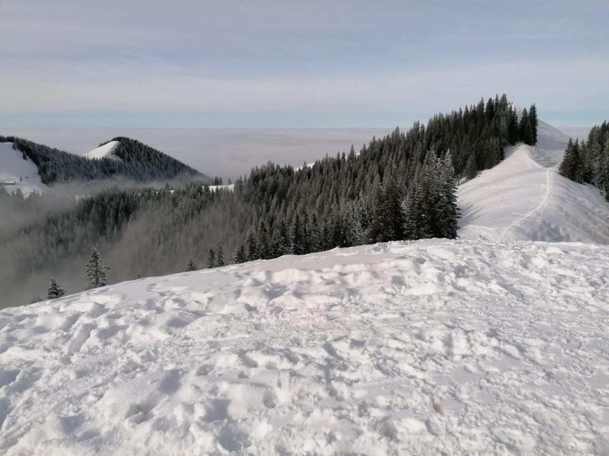 Kultur, Berge, Seen, Moor - Das Lebensglueck Murnau am Staffelsee Eksteriør billede
